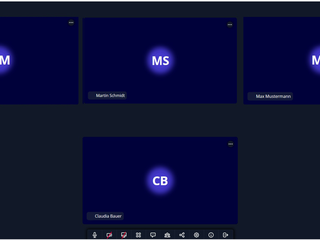 WebConference nur Audioübertragung
