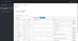 Screenshot DNS-Editor Kundenlogin