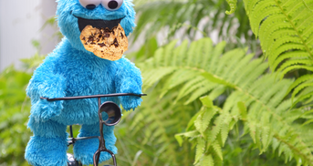 Krümelmonster Cookies