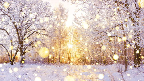 Winterlandschaft