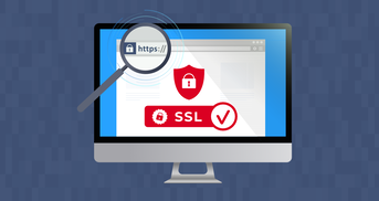 SSL/TLS-Zertifikat im Broweserfenster