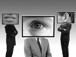 Wolf im Schafspelz: Antivirus Software Avast spioniert Sie aus