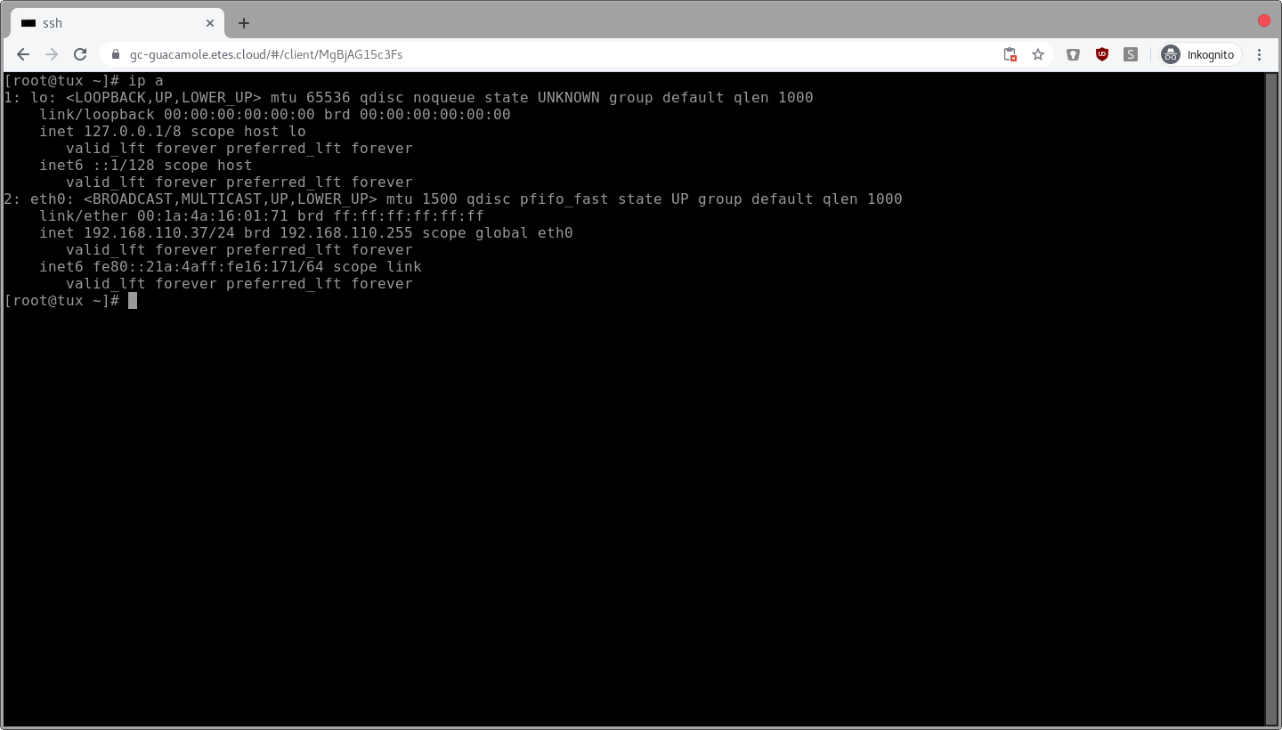 VDI (Guacamole) TerminalServer im Browser ETES GmbH